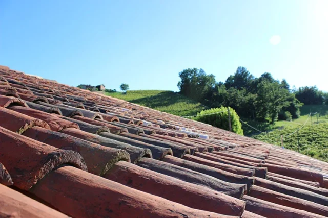 Azienda Agricola La Fusina - Dogliani